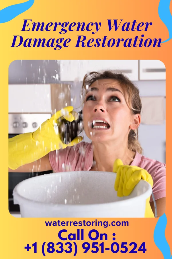 Emergency Water Damage Restoration in Seabrook, MA