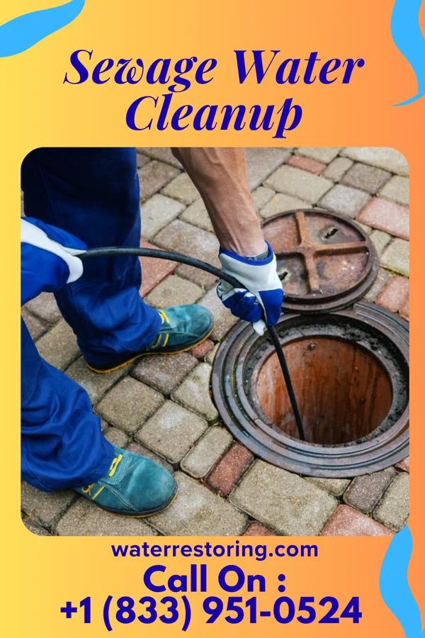 Sewage Water Cleanup in Seabrook, MA