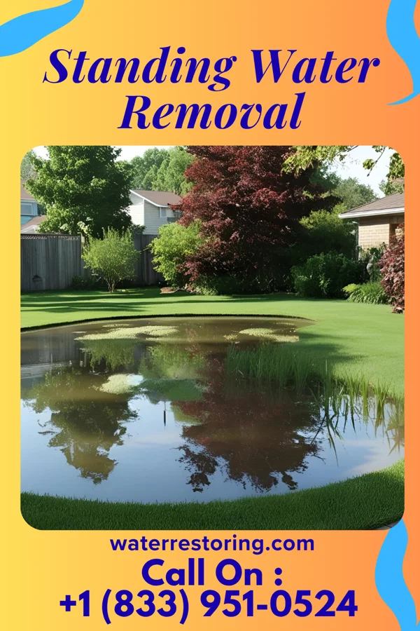 Standing Water Removal in Seabrook, MA